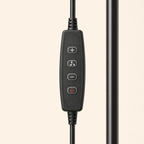 Close-up of the four-button inline floor lamp controller