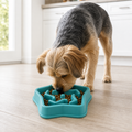 Slow Feeder Dog Bowl