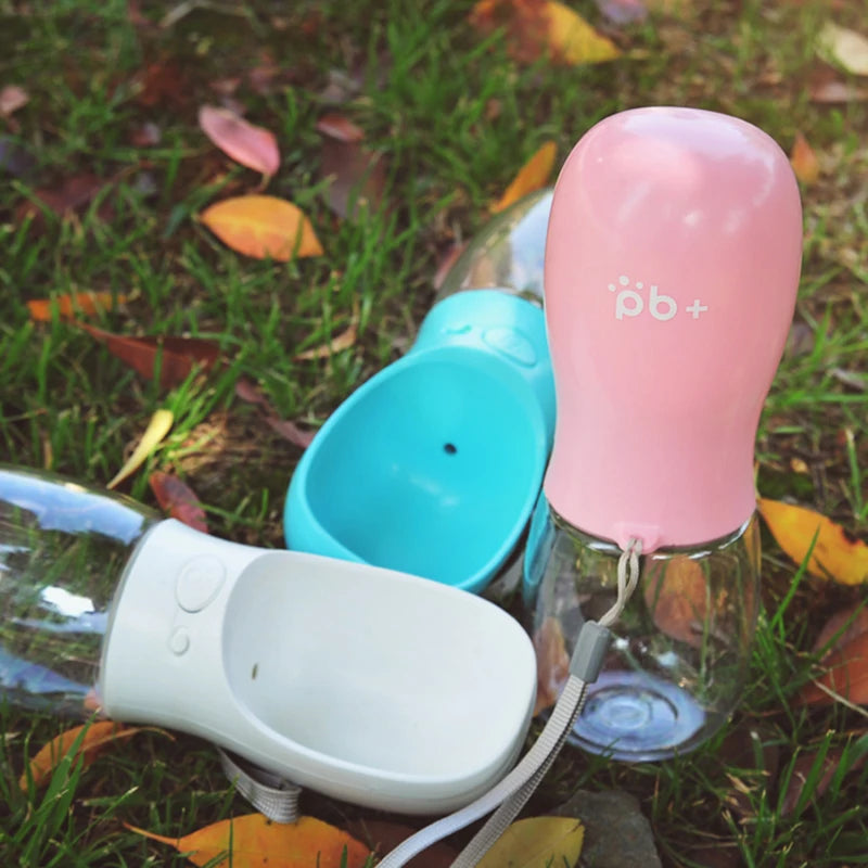 Portable pet water bottle capacity options